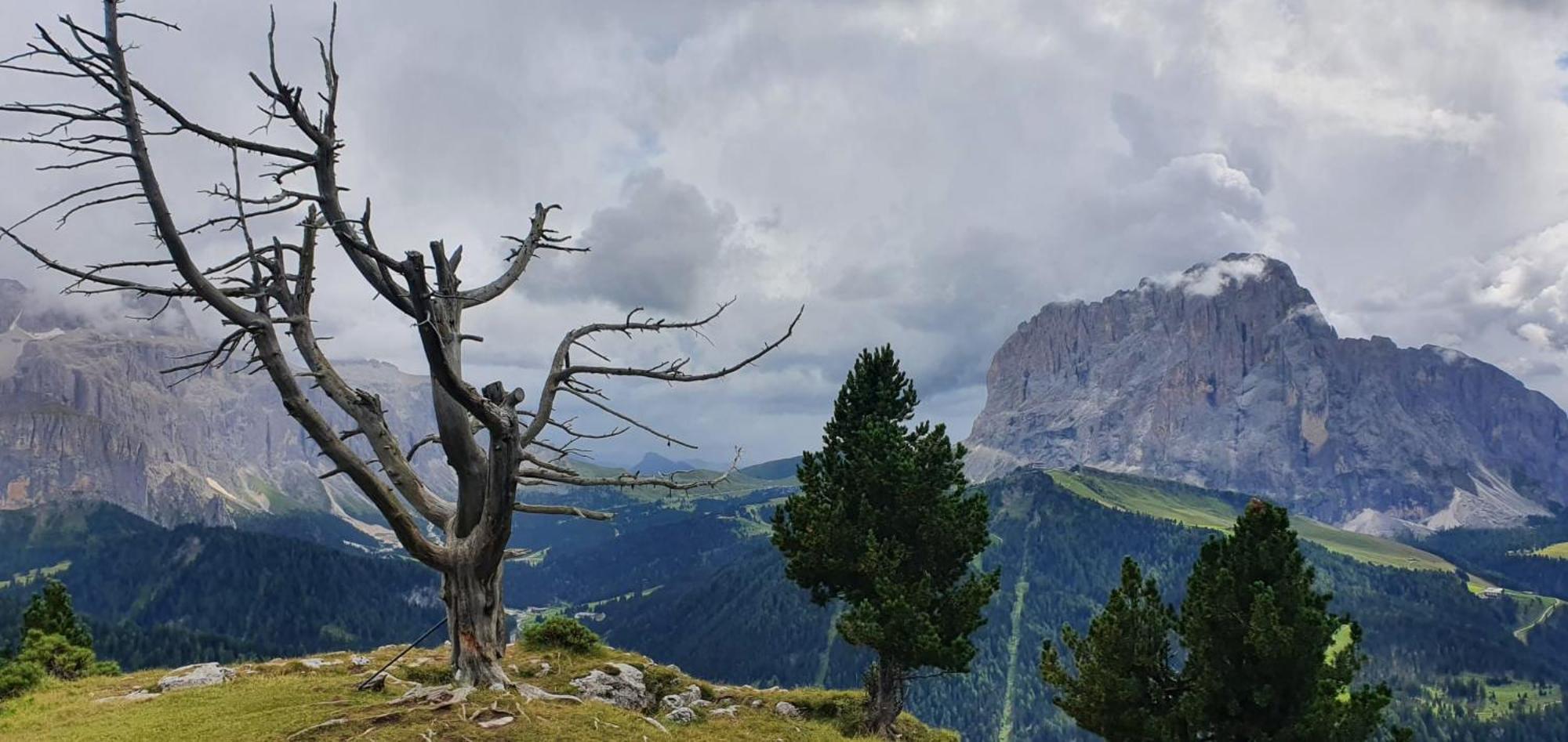 Garni Hotel Iris Selva di Val Gardena Exteriör bild