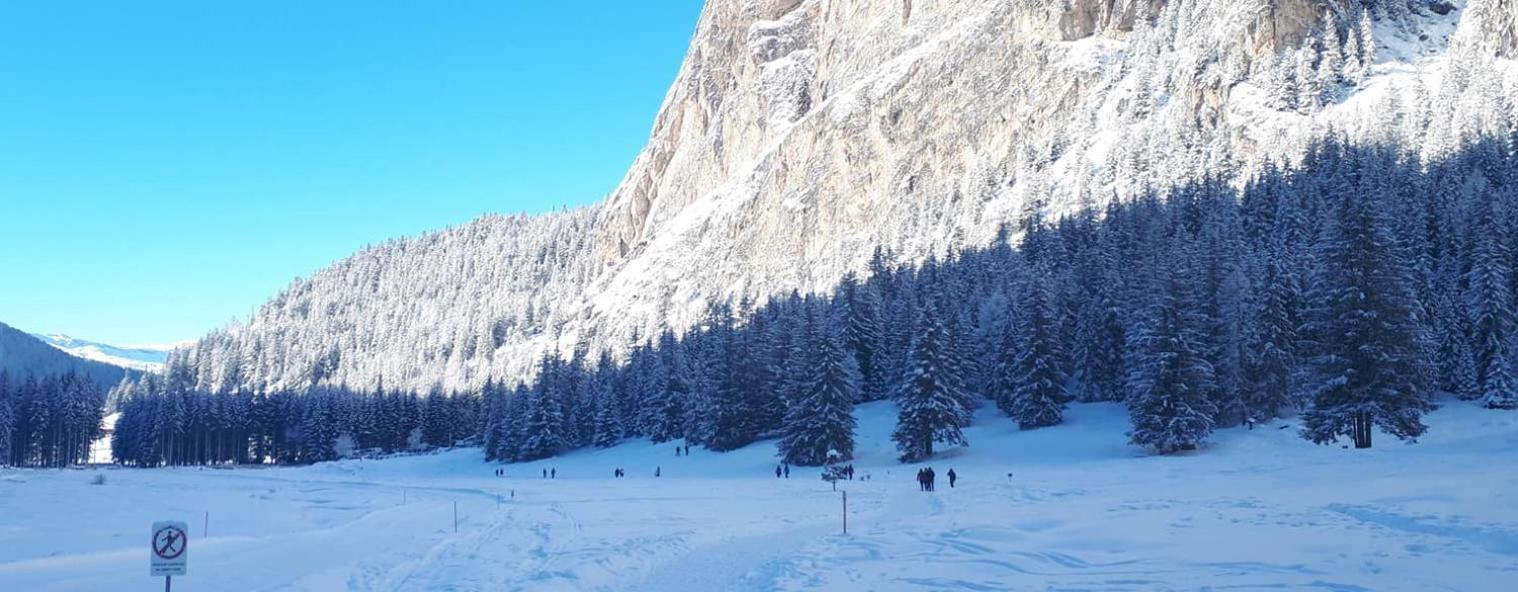 Garni Hotel Iris Selva di Val Gardena Exteriör bild