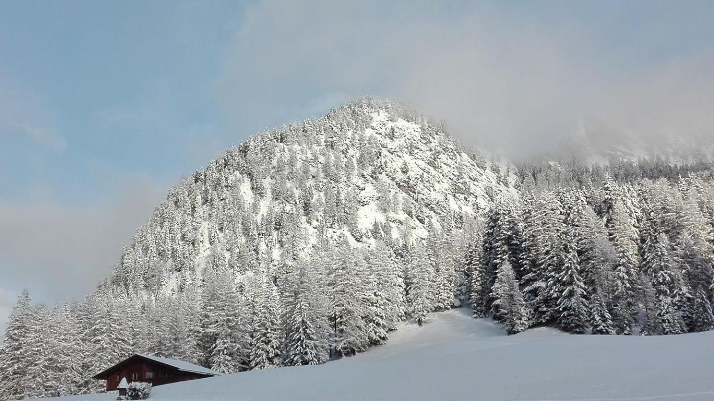 Garni Hotel Iris Selva di Val Gardena Exteriör bild