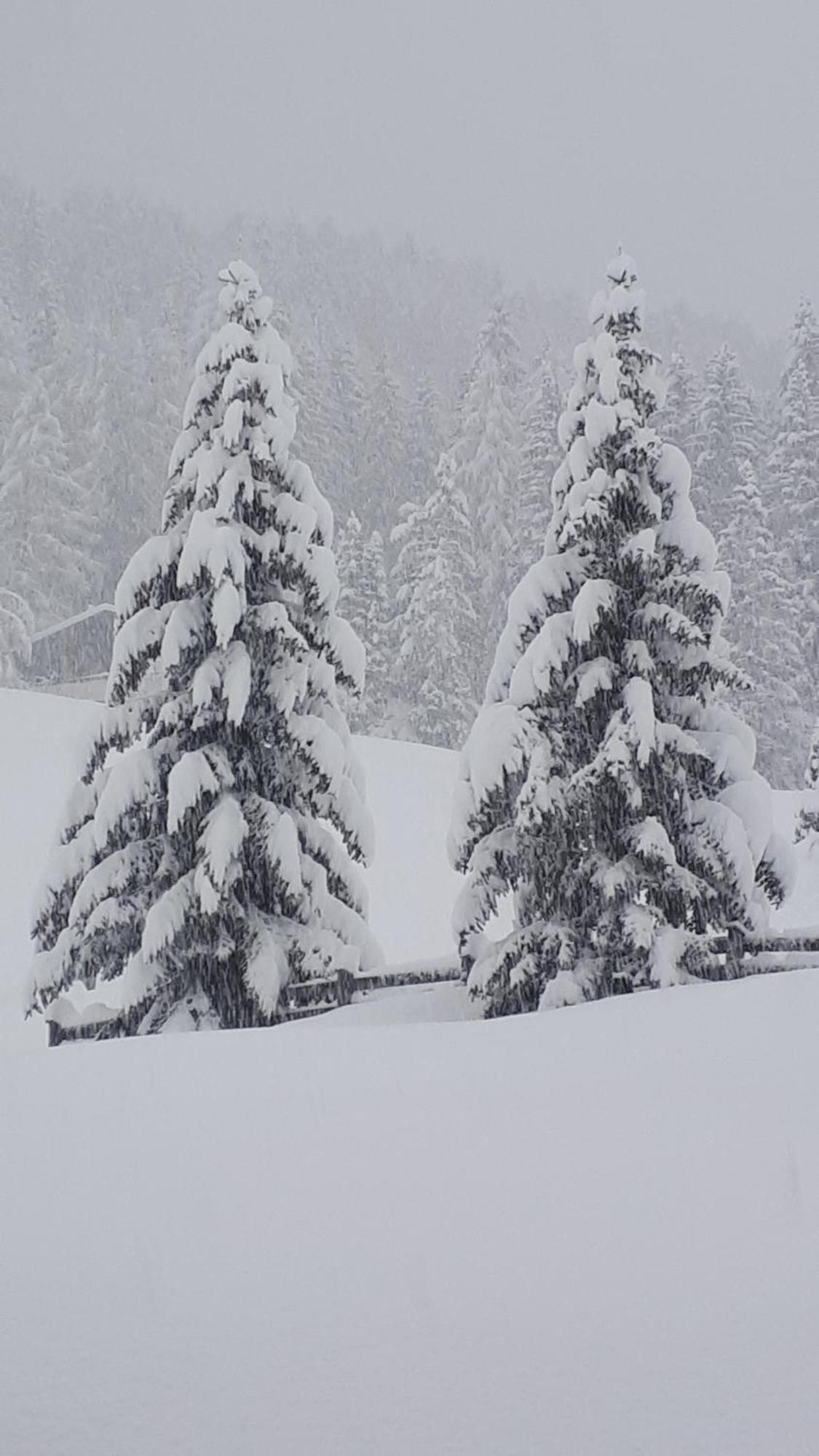 Garni Hotel Iris Selva di Val Gardena Exteriör bild