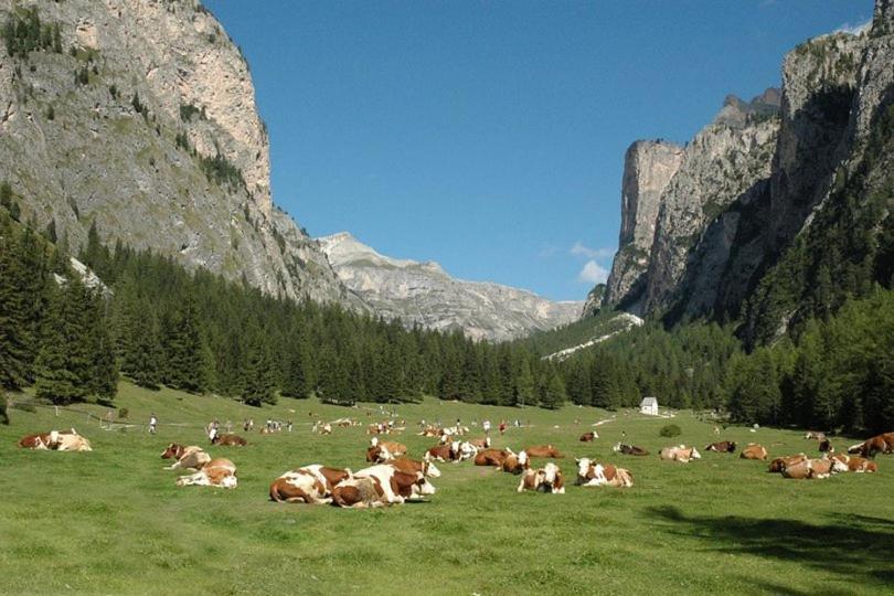 Garni Hotel Iris Selva di Val Gardena Exteriör bild